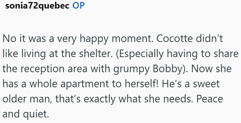 sonia72quebec OP No it was a very happy moment. Cocotte didn't like living at the shelter. (Especially having to share the reception area with grumpy Bobby). Now she has a whole apartment to herself! He's a sweet older man, that's exactly what she needs. Peace and quiet.