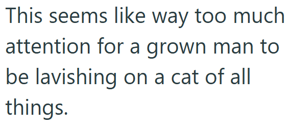 This seems like way too much attention for a grown man to be lavishing on a cat of all things.