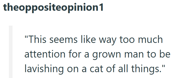 theoppositeopinion1 "This seems like way too much attention for a grown man to be lavishing on a cat of all things."