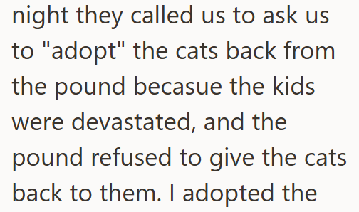 night they called us to ask us to "adopt" the cats back from the pound becasue the kids were devastated, and the pound refused to give the cats back to them. I adopted the
