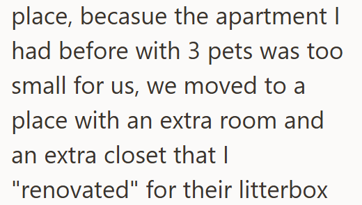 place, becasue the apartment I had before with 3 pets was too small for us, we moved to a place with an extra room and an extra closet that I "renovated" for their litterbox