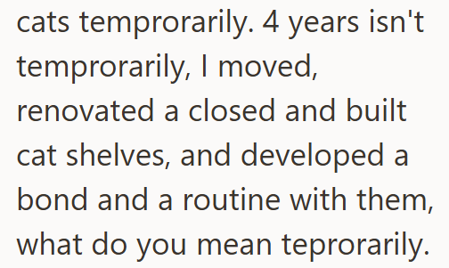 cats temprorarily. 4 years isn't temprorarily, I moved, renovated a closed and built cat shelves, and developed a bond and a routine with them, what do you mean teprorarily.