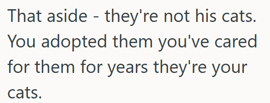 That aside they're not his cats. - You adopted them you've cared for them for years they're your cats.