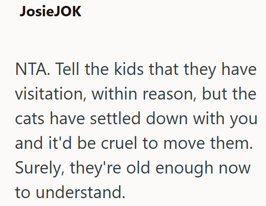 JosieJOK NTA. Tell the kids that they have visitation, within reason, but the cats have settled down with you and it'd be cruel to move them. Surely, they're old enough now to understand.