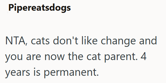 Pipereatsdogs NTA, cats don't like change and you are now the cat parent. 4 years is permanent.