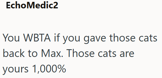 EchoMedic2 You WBTA if you gave those cats back to Max. Those cats are yours 1,000%