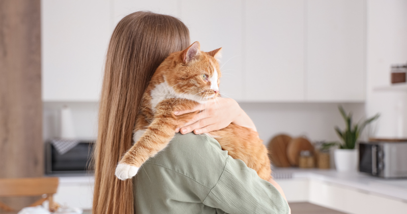 Young Woman (Model) with Cute Orange Cat in Kitchen