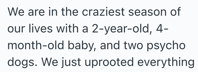 We are in the craziest season of our lives with a 2-year-old, 4- month-old baby, and two psycho dogs. We just uprooted everything