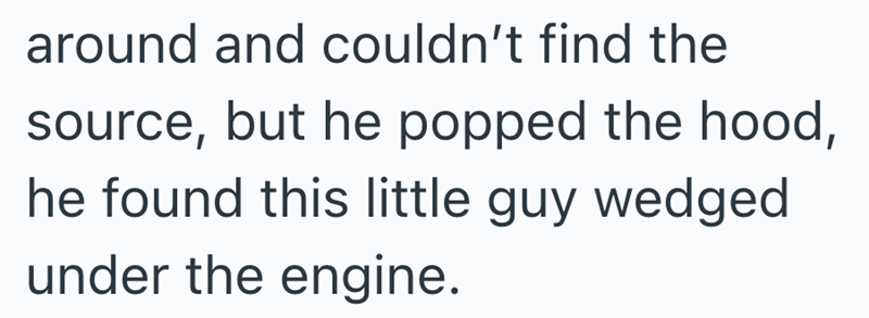around and couldn't find the source, but he popped the hood, he found this little guy wedged under the engine.