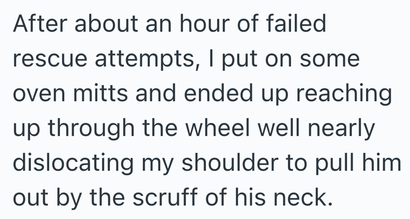 After about an hour of failed rescue attempts, I put on some oven mitts and ended up reaching up through the wheel well nearly dislocating my shoulder to pull him out by the scruff of his neck.