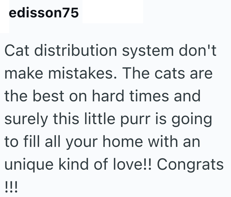 edisson75 Cat distribution system don't make mistakes. The cats are the best on hard times and surely this little purr is going to fill all your home with an unique kind of love!! Congrats