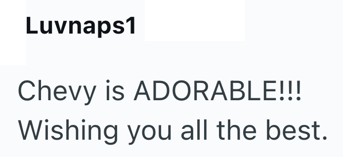 Luvnaps1 Chevy is ADORABLE!!! Wishing you all the best.
