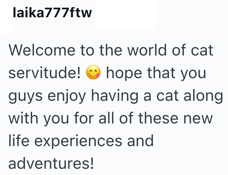 laika777ftw Welcome to the world of cat servitude! hope that you guys enjoy having a cat along with you for all of these new life experiences and adventures!