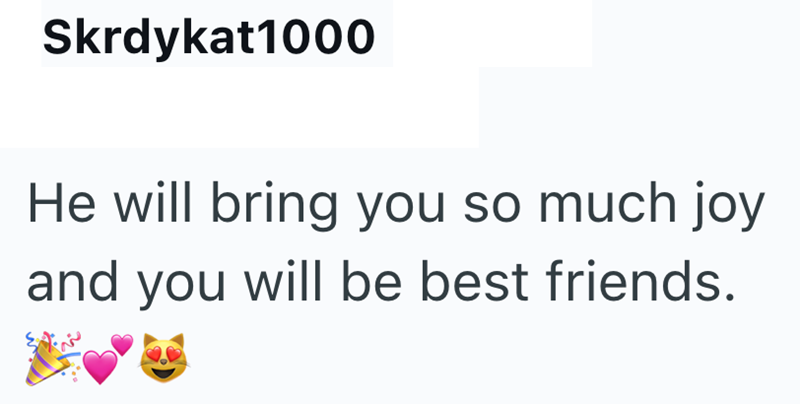 Skrdykat1000 He will bring you so much joy and you will be best friends.