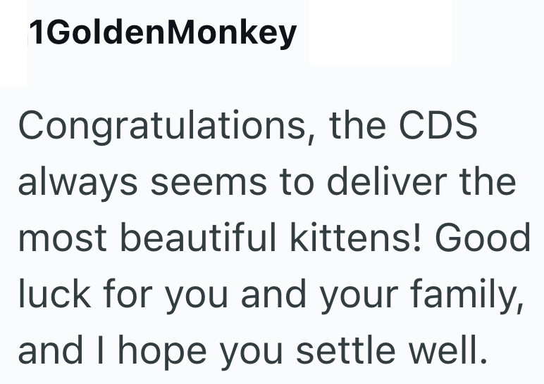 1GoldenMonkey Congratulations, the CDS always seems to deliver the most beautiful kittens! Good luck for you and your family, and I hope you settle well.