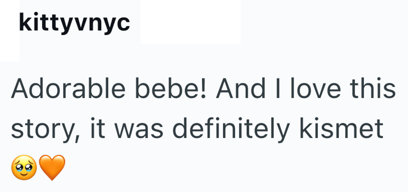 kittyvnyc Adorable bebe! And I love this story, it was definitely kismet