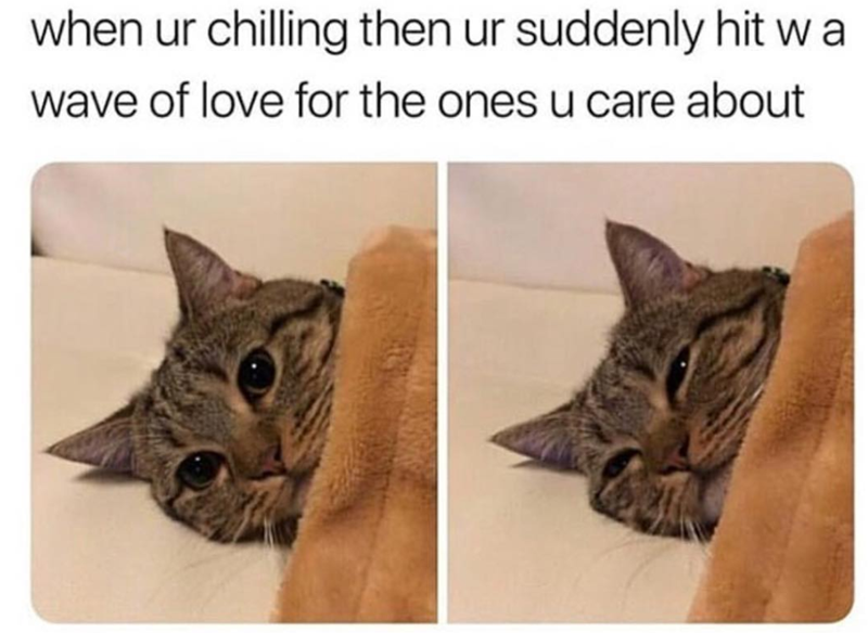 when ur chilling then ur suddenly hit wa wave of love for the ones u care about