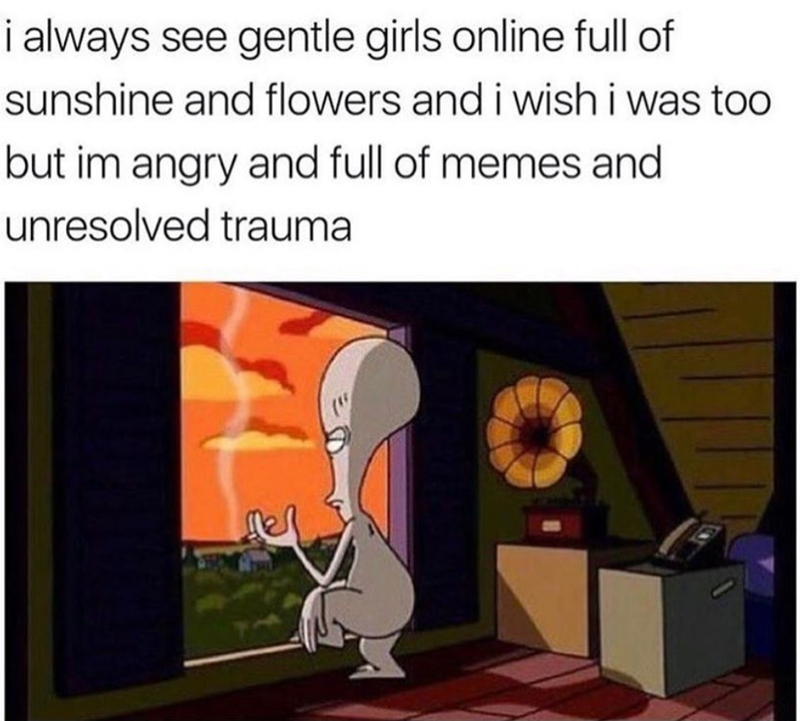 i always see gentle girls online full of sunshine and flowers and i wish i was too but im angry and full of memes and unresolved trauma