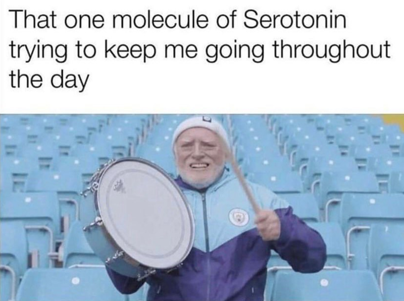 That one molecule of Serotonin trying to keep me going throughout the day