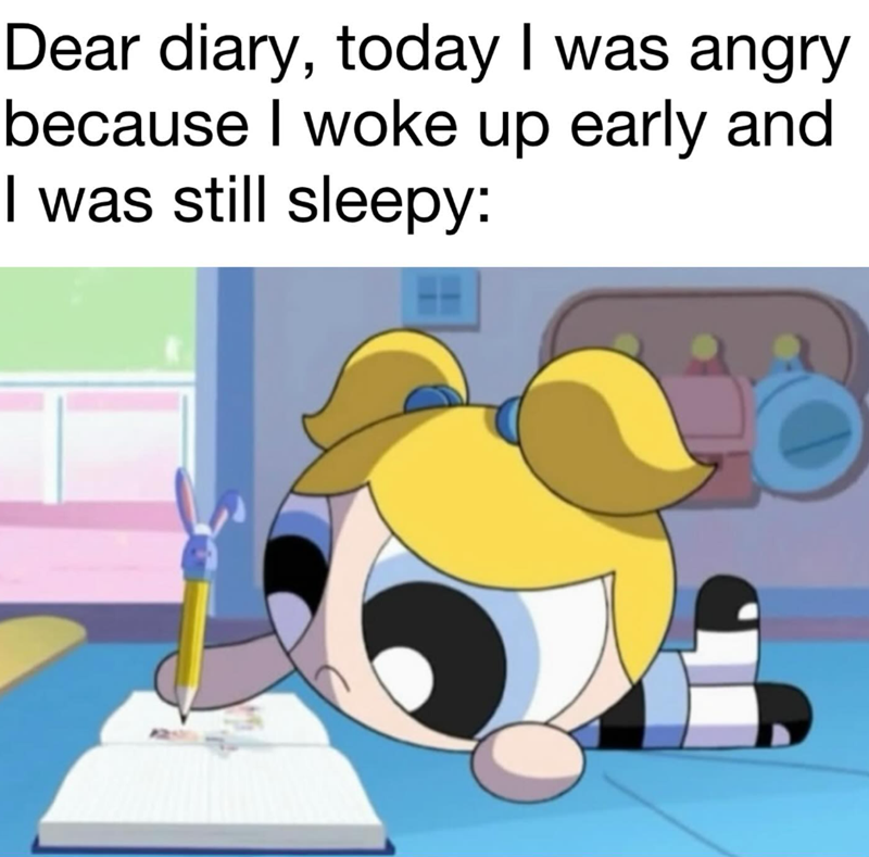 Dear diary, today I was angry because I woke up early and I was still sleepy: