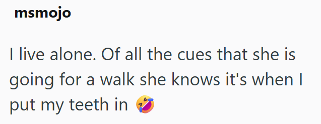 msmojo I live alone. Of all the cues that she is going for a walk she knows it's when I put my teeth in