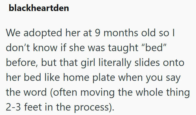blackheartden We adopted her at 9 months old so I don't know if she was taught "bed" before, but that girl literally slides onto her bed like home plate when you say the word (often moving the whole thing 2-3 feet in the process).