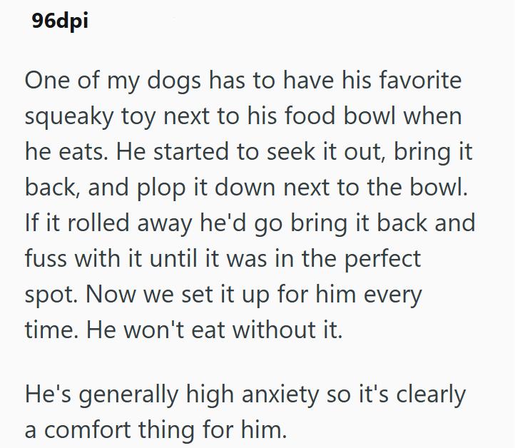 96dpi One of my dogs has to have his favorite squeaky toy next to his food bowl when he eats. He started to seek it out, bring it back, and plop it down next to the bowl. If it rolled away he'd go bring it back and fuss with it until it was in the perfect spot. Now we set it up for him every time. He won't eat without it. He's generally high anxiety so it's clearly a comfort thing for him.
