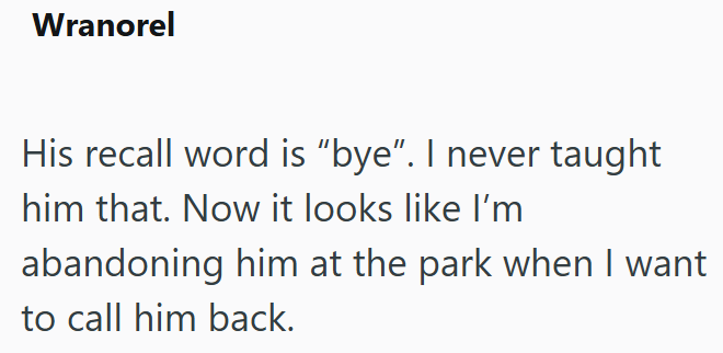 Wranorel His recall word is "bye". I never taught him that. Now it looks like I'm abandoning him at the park when I want to call him back.