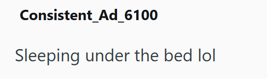 Consistent_Ad_6100 Sleeping under the bed lol