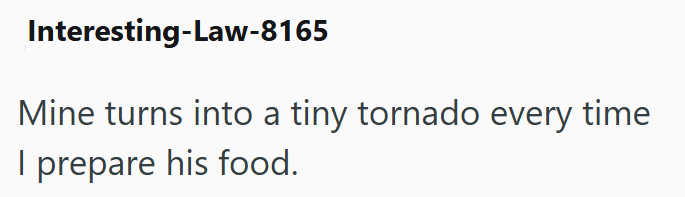 Interesting-Law-8165 Mine turns into a tiny tornado every time I prepare his food.