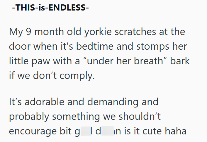 -THIS-is-ENDLESS- My 9 month old yorkie scratches at the door when it's bedtime and stomps her little paw with a "under her breath" bark if we don't comply. It's adorable and demanding and probably something we shouldn't encourage bit g Id in is it cute haha