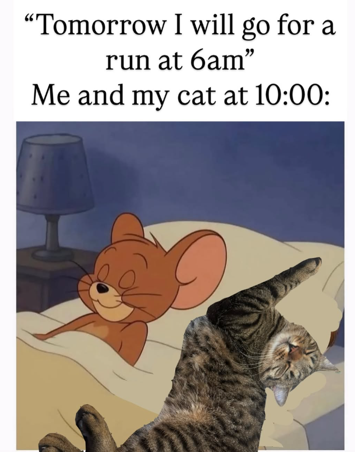 "Tomorrow I will go for a run at 6am" Me and my cat at 10:00: