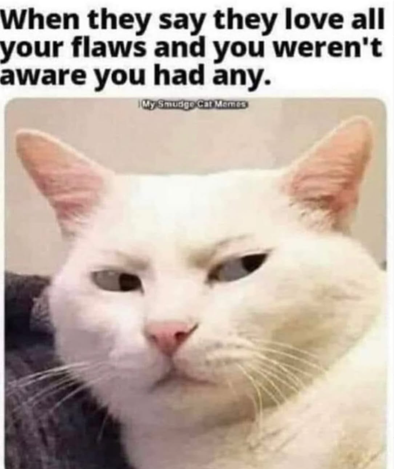 When they say they love all your flaws and you weren't aware you had any. My Smudge Cat Memes