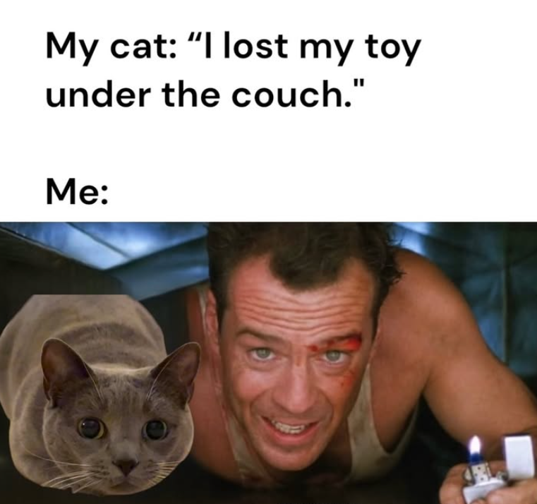 My cat: "I lost my toy under the couch." Me: