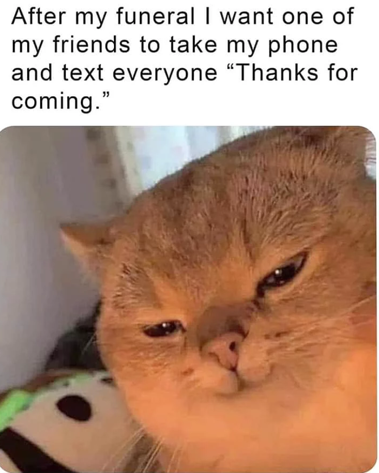 After my funeral I want one of my friends to take my phone and text everyone "Thanks for coming."