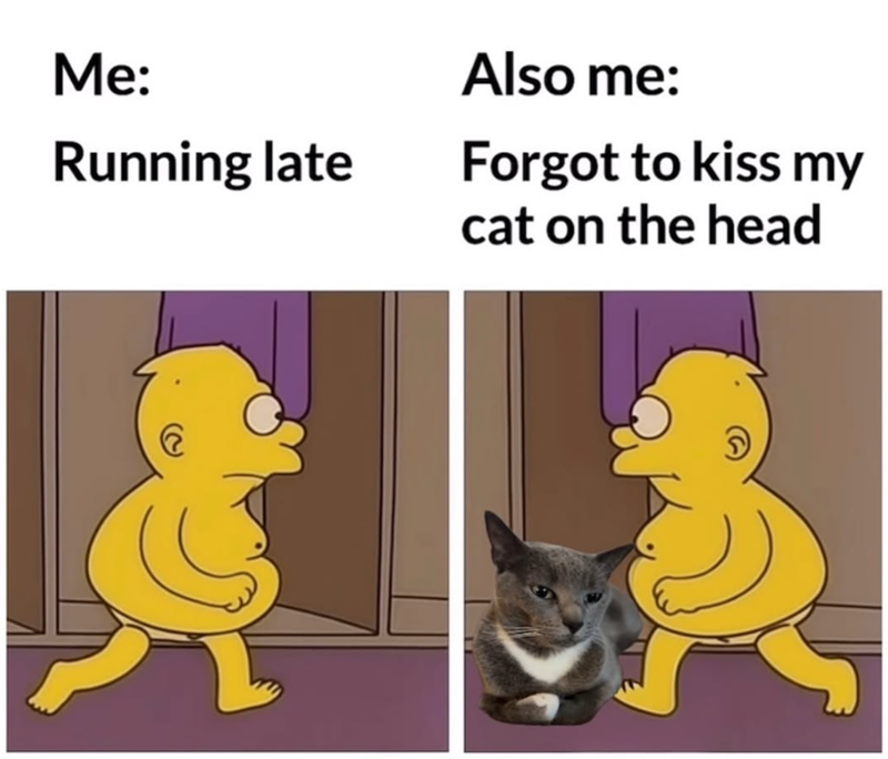Me: Running late Also me: Forgot to kiss my cat on the head