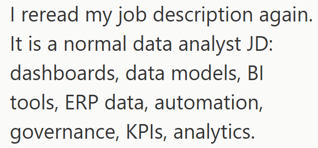 I reread my job description again. It is a normal data analyst JD: dashboards, data models, BI tools, ERP data, automation, governance, KPIs, analytics.