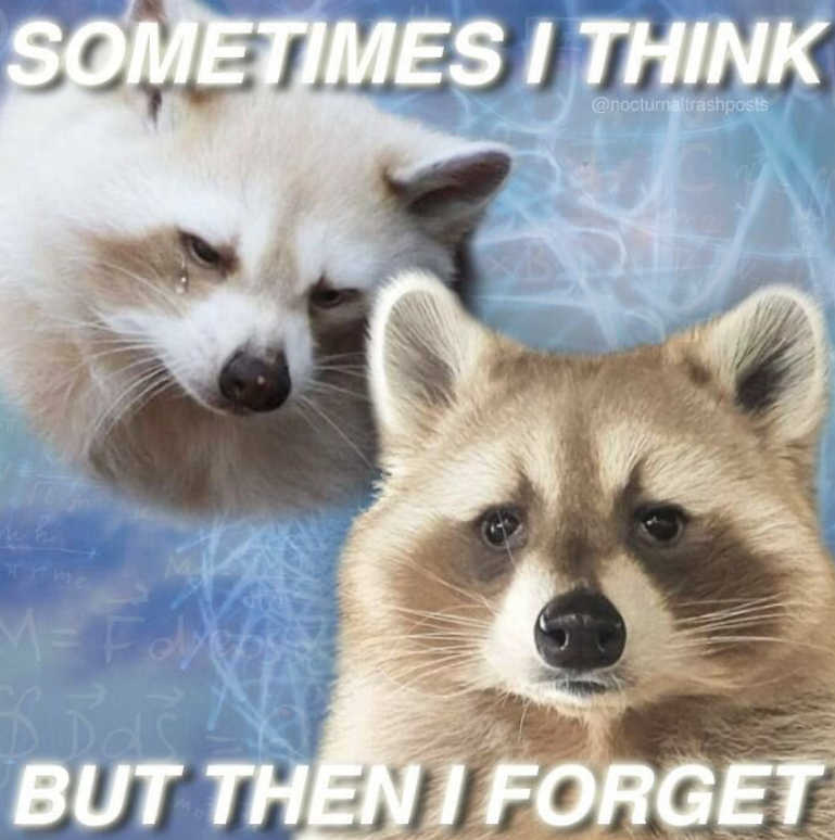 SOMETIMES I THINK @nocturnaltrashposts T rme BUT THEN I FORGET