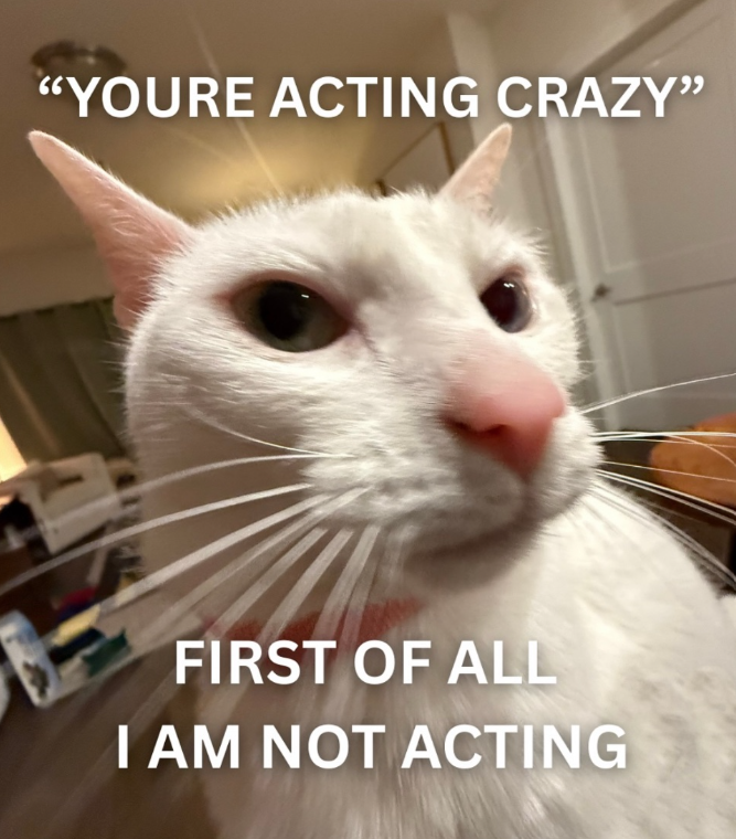 "YOURE ACTING CRAZY" FIRST OF ALL I AM NOT ACTING