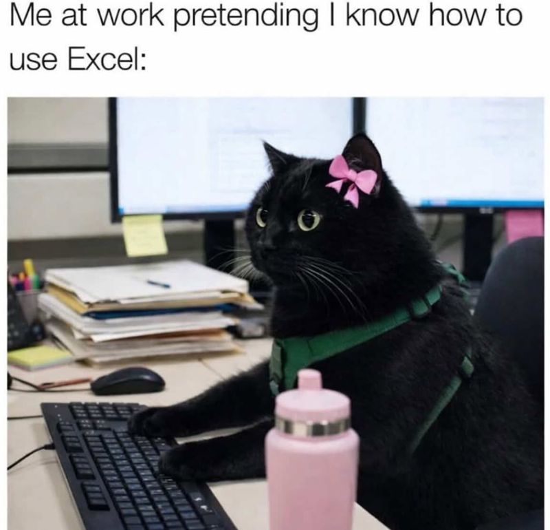 Me at work pretending I know how to use Excel: