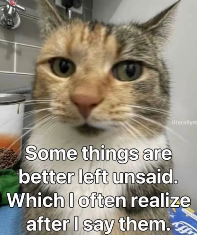 literallym Some things are better left unsaid. Which I often realize after I say them.