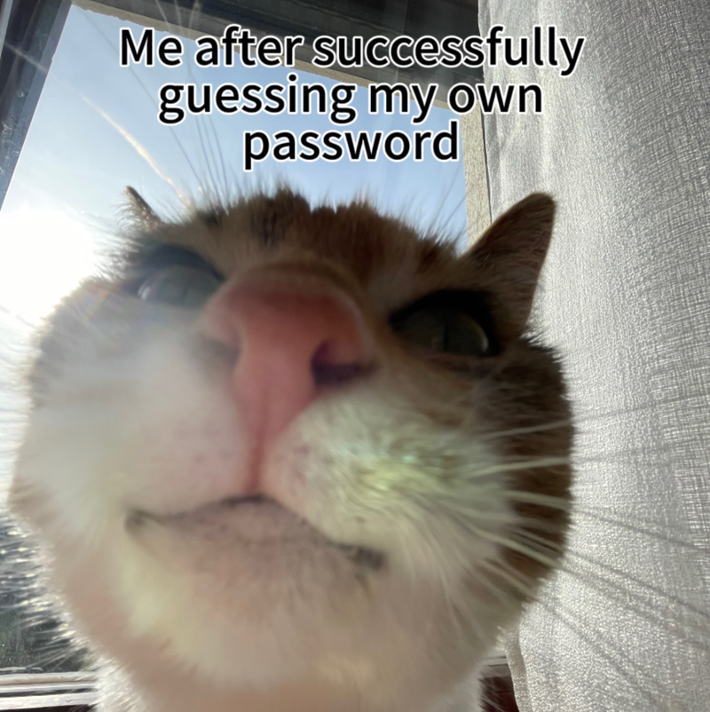 Me after successfully guessing my own password