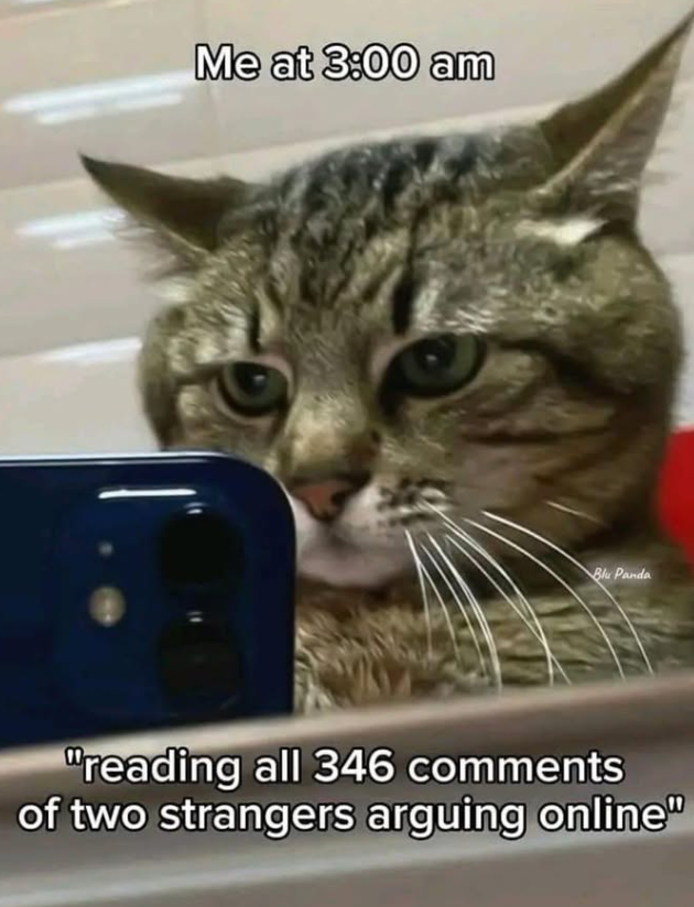 Me at 3:00 am Blu Panda "reading all 346 comments of two strangers arguing online"