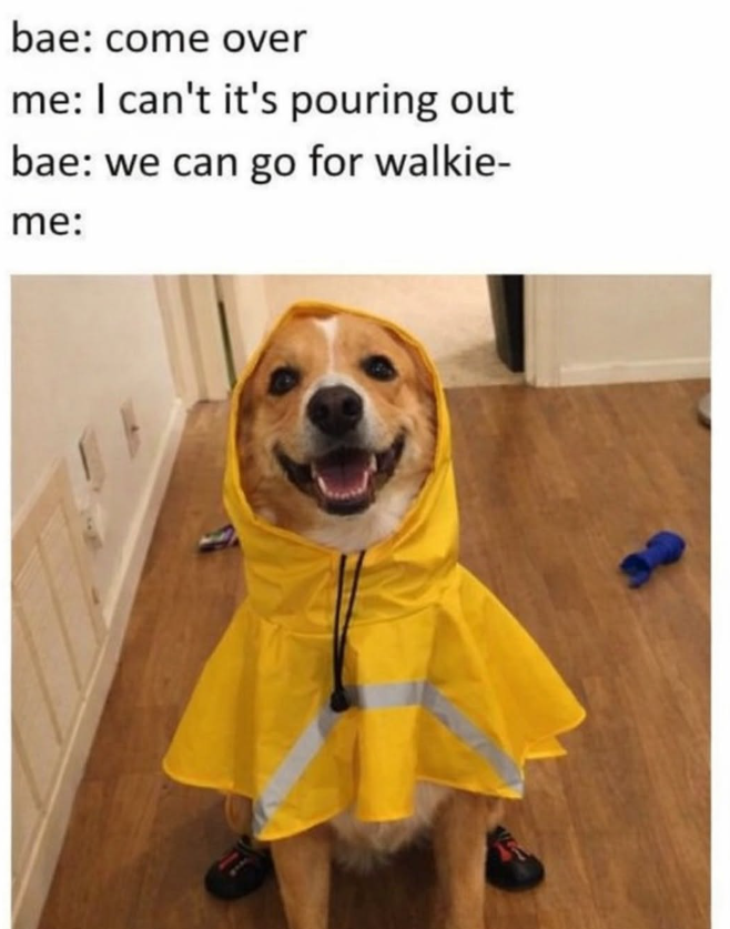 bae: come over me: I can't it's pouring out bae: we can go for walkie- me: