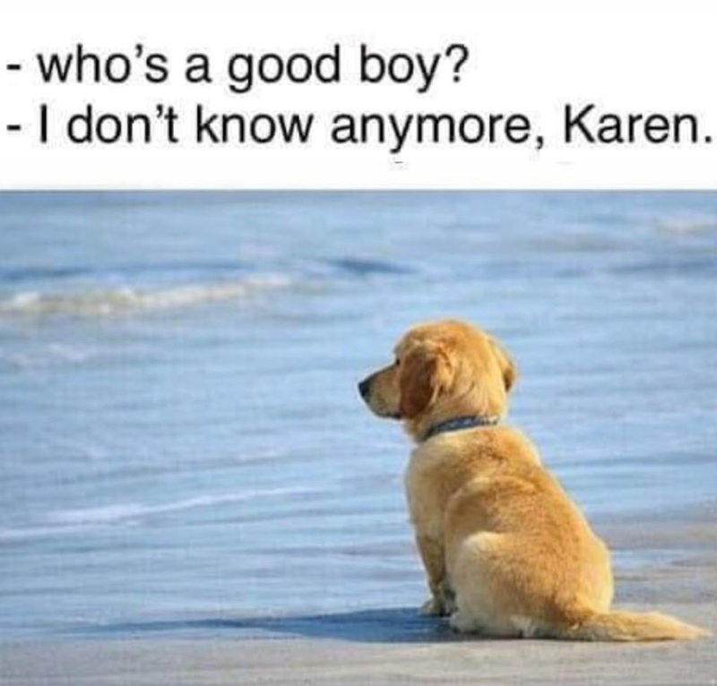 - who's a good boy? - I don't know anymore, Karen.