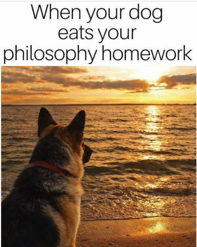 When your dog eats your philosophy homework