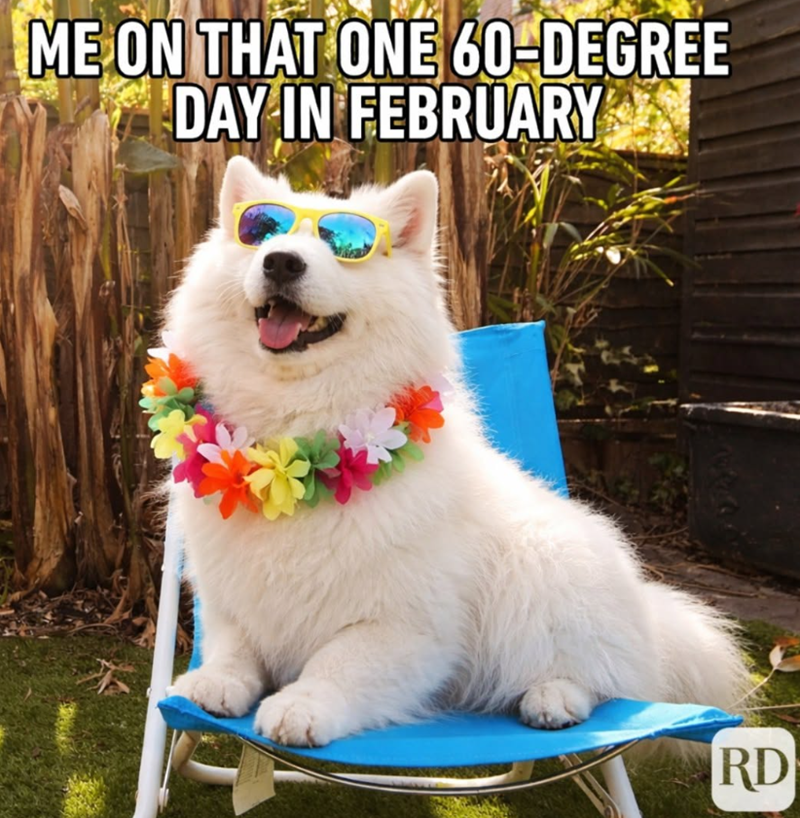 ME ON THAT ONE 60-DEGREE DAY IN FEBRUARY 3 RD
