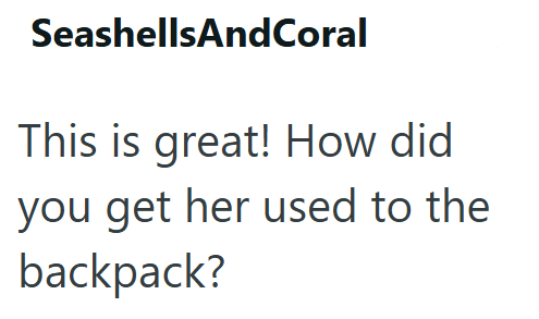 SeashellsAndCoral This is great! How did you get her used to the backpack?
