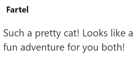 Fartel Such a pretty cat! Looks like a fun adventure for you both!