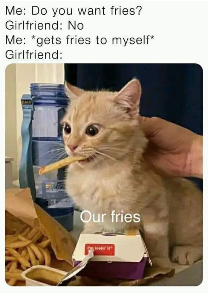 Me: Do you want fries? Girlfriend: No Me: *gets fries to myself* Girlfriend: Our fries F'm lovin' it